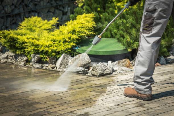 Best Gutter Cleaning  in Auburndale, FL