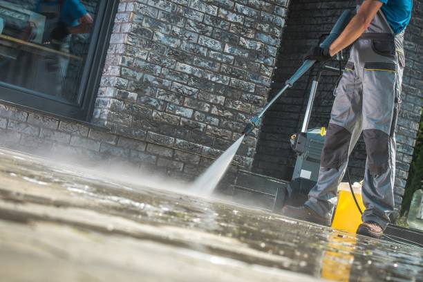 Best Driveway Pressure Washing  in Auburndale, FL
